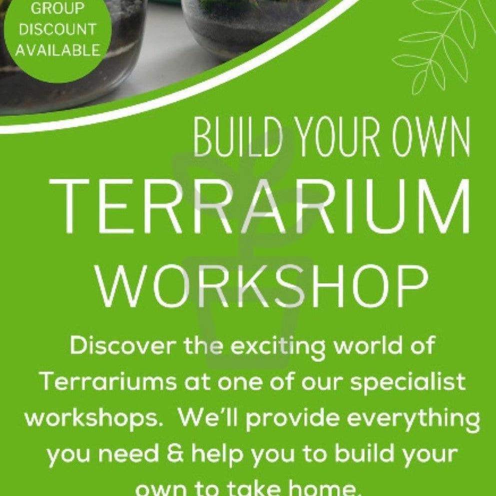 Plantila Tropical Terrarium Workshop