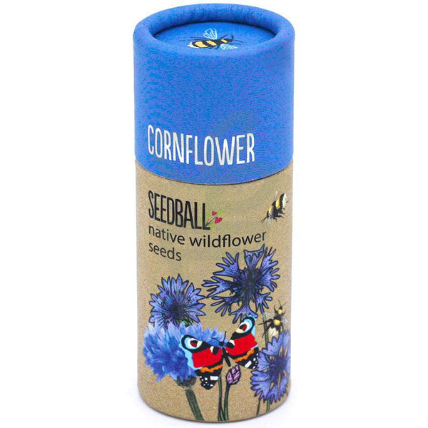 Seedball Cornflower Tube