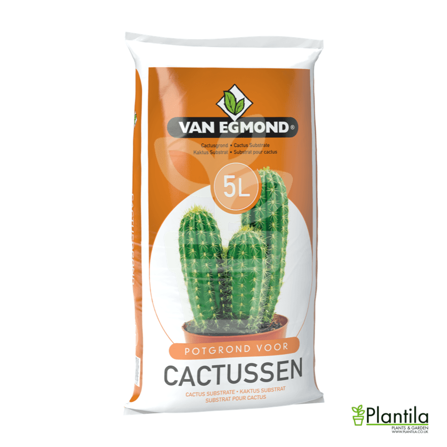 Cactus Substrate 5L - Plantila