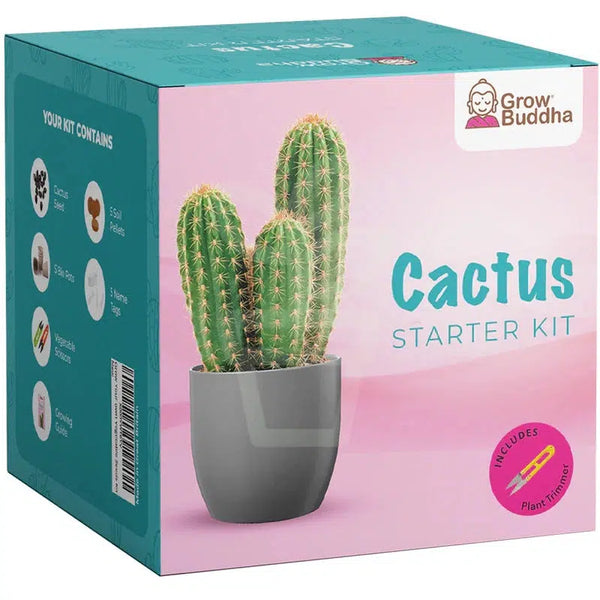 Grow Your Own Cactus Starter Kit