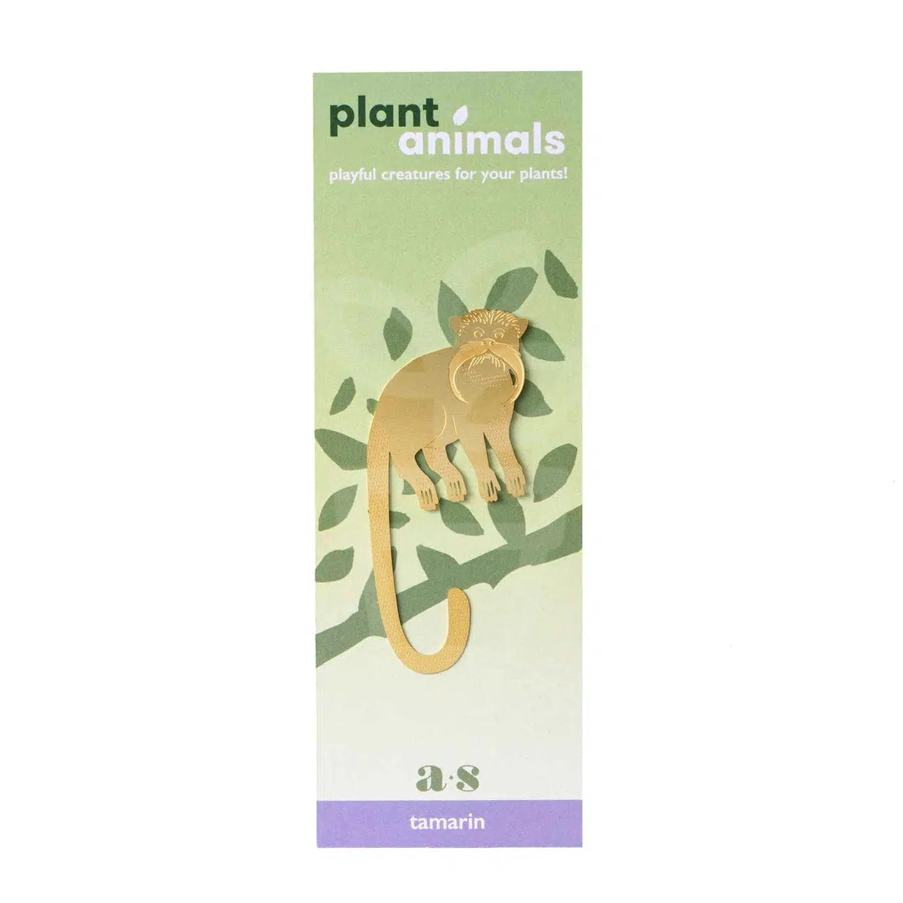 Plant Animal Tamarin - Plantila
