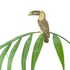 Plant Animal Toucan - Plantila