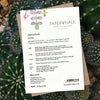 Succulent Greeting Card - Plantila
