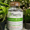 Plantila Terrarium DIY Kit