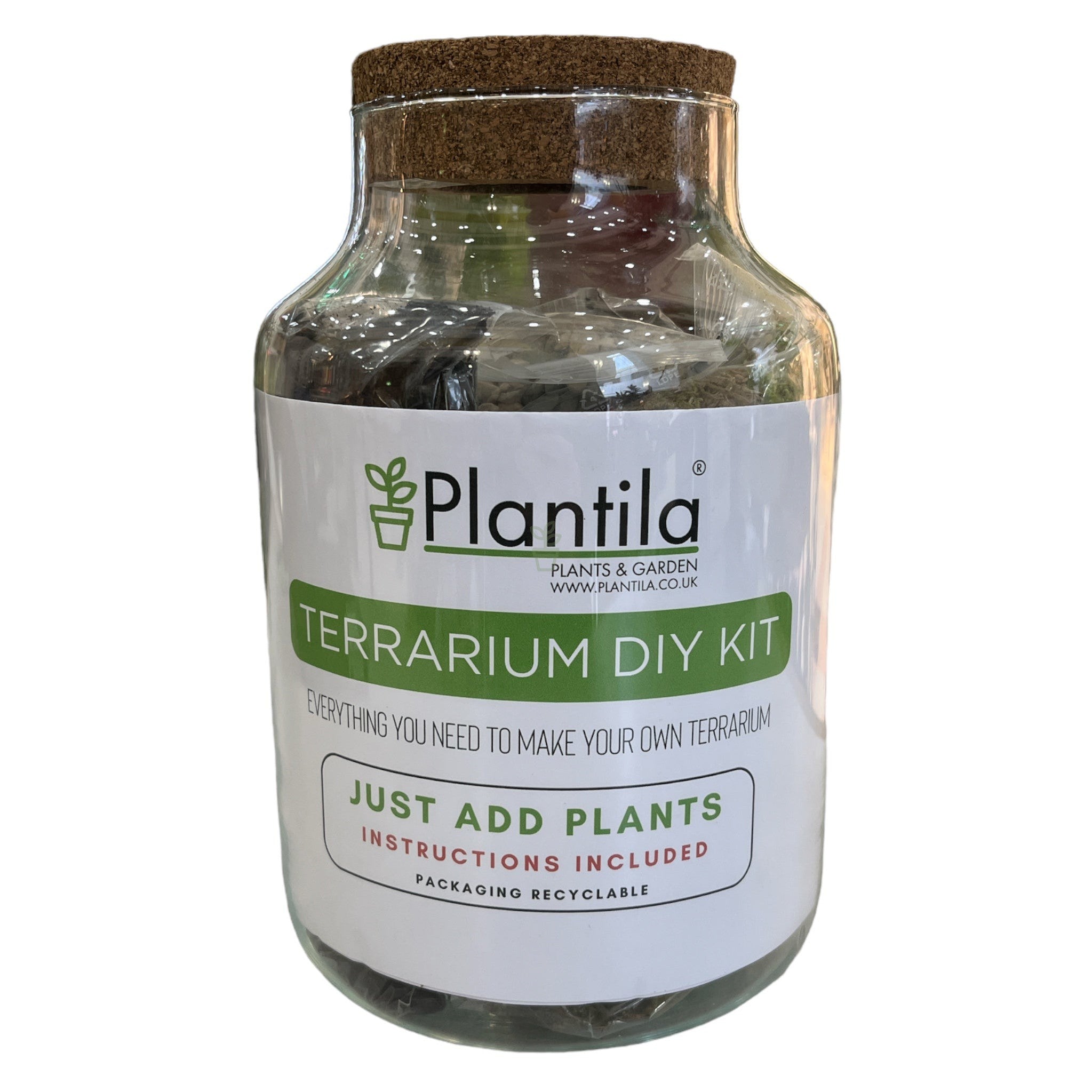 Plantila Terrarium DIY Kit