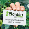 Plantila Workshop eGift Voucher