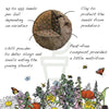 Load image into Gallery viewer, Seedball Cornflower Tube
