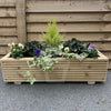 60cm Planted Handmade Wooden Window Box - Plantila