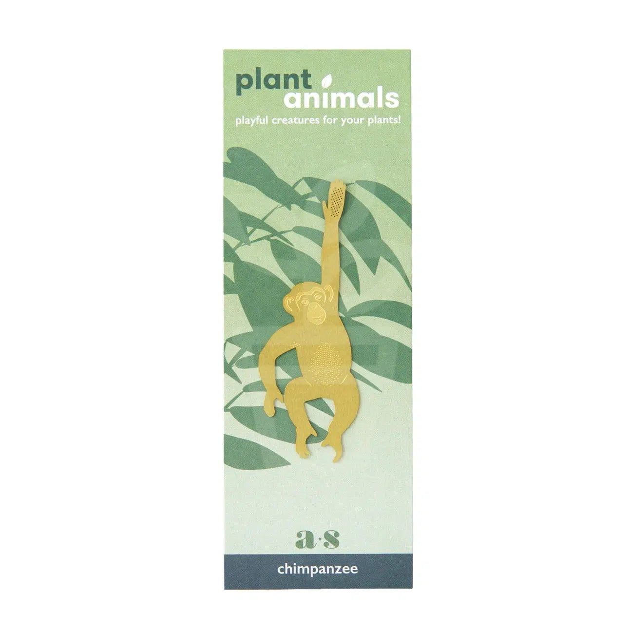 Plant Animal Chimpanzee - Plantila