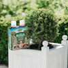 Load image into Gallery viewer, Westland Buxus 2 in 1 Feed &amp; Protect - Plantila