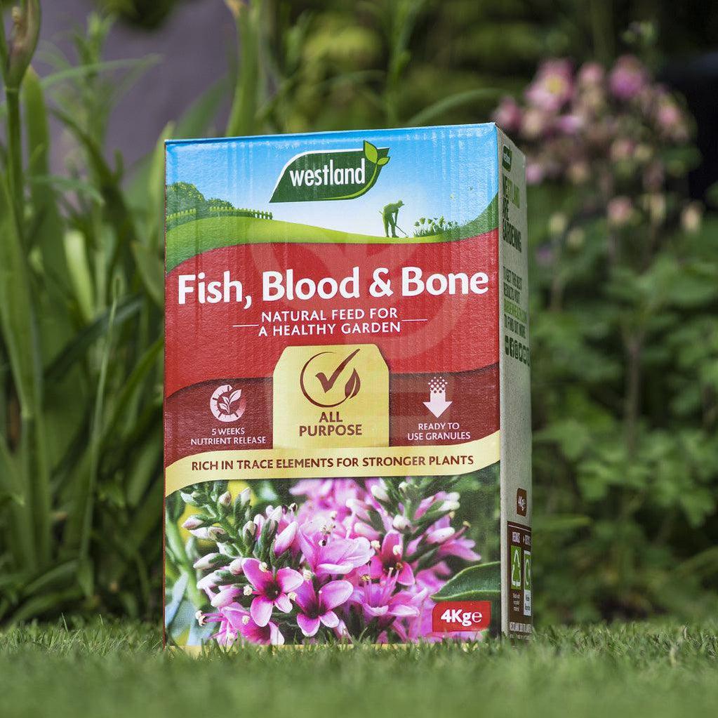 Westland Fish, Blood and Bone 1.5kg - Plantila