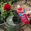 Load image into Gallery viewer, Westland Rose 2 in 1 Feed &amp; Protect - Plantila